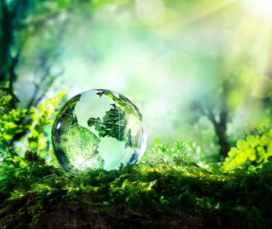 ecologia e protezione ambiente smaltimento